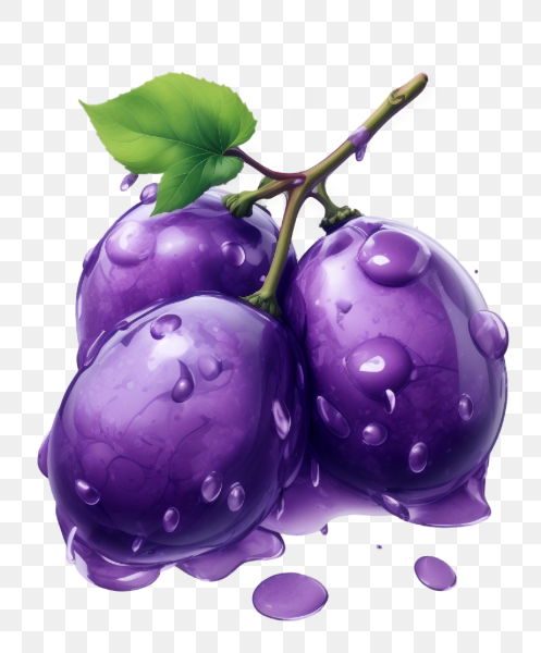Purple Grapes Fruit Illustration
