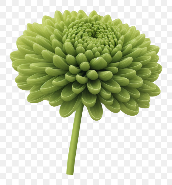 Vibrant Green Flower