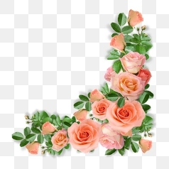 Beautiful Pink Roses Floral Arrangement