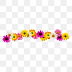 Colorful Daisy Flower Arrangement Border