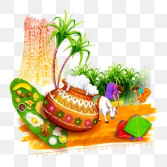 Colorful Pongal Celebration with Bull – Transparent PNG Image