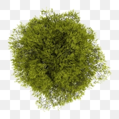 Dense Artificial Tree Top View – Transparent PNG Image