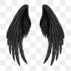 Detailed Black Angel Wings – Transparent PNG Image