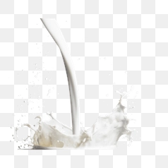 Dynamic Milk Splash in Action – Transparent PNG Image