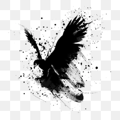 Dynamic Splash Effect for Designs