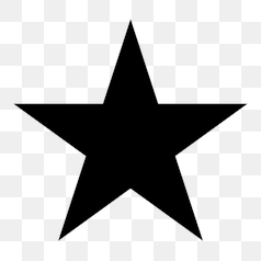 Elegant Black and White Star Design