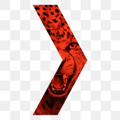 Fierce Cheetah Graphic Design