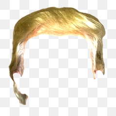 Iconic Golden Hair Wig – Transparent PNG Image