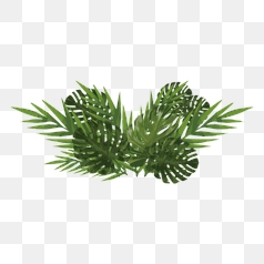 Lush Tropical Greenery Watercolor – Transparent PNG Image