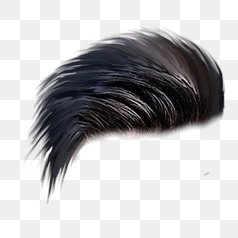 Messy Black Spiky Hair