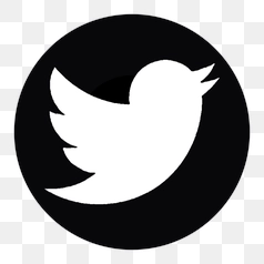 Minimalist Black and White Twitter Icon