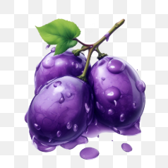 Purple Grapes Fruit Illustration