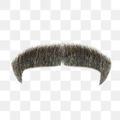 Realistic Black Mustache