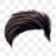 Realistic Dark Brown Hair