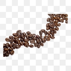 Scattered Coffee Beans on Display – Transparent PNG Image