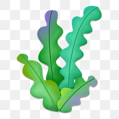 Stylized Underwater Fern Illustration – Transparent PNG Image