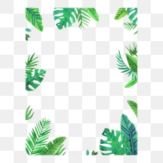 Tropical Leaf Frame for Creative Designs