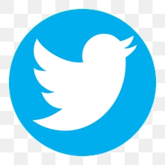 Twitter Bird Logo