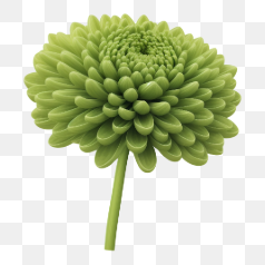 Vibrant Green Flower – Transparent PNG Image