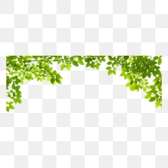 Vibrant Green Leaf Border Design